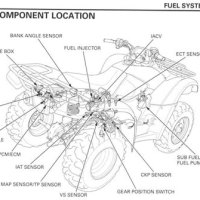 2009 Honda Trx 420 Wiring Diagram