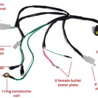 Ssr 110 Pit Bike Wiring Diagram